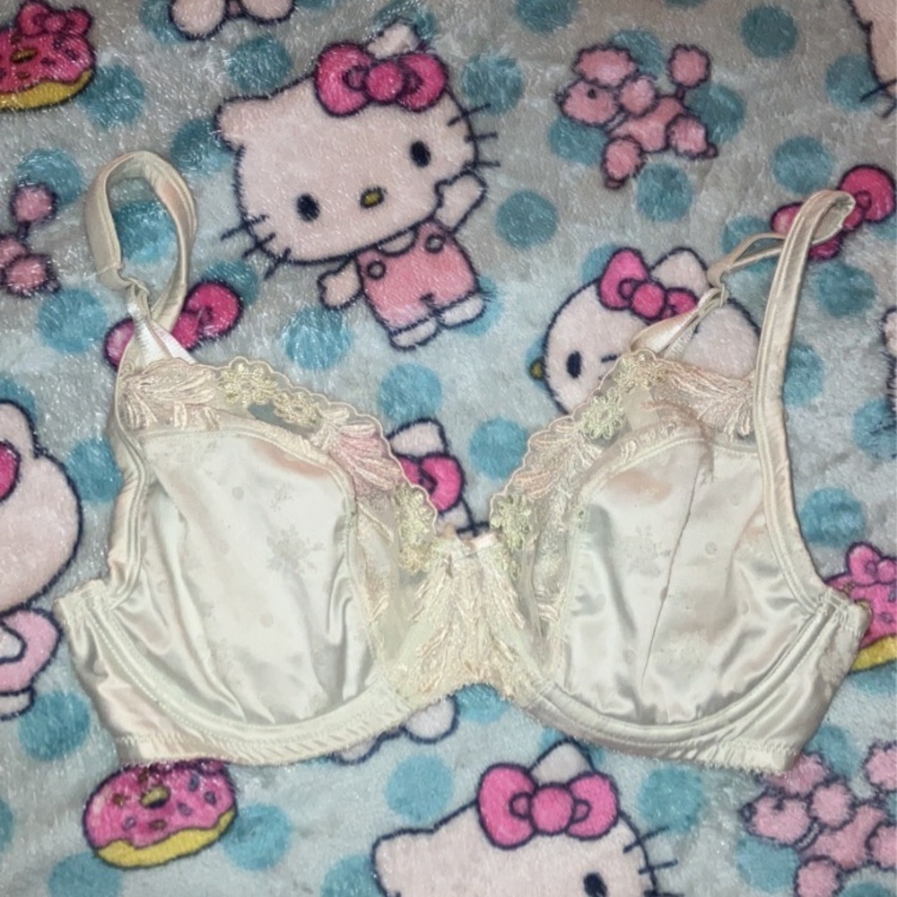 Vintage Beaded Lace Coquette bra